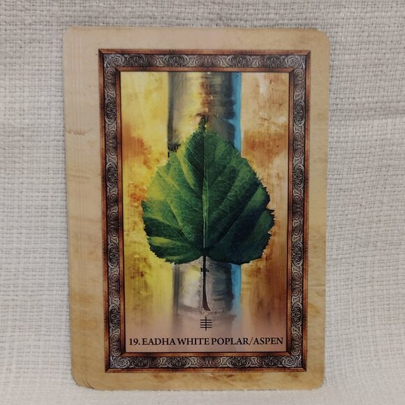 Celtic Tree Oracle - Picture 10 of 12